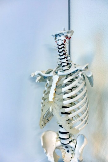 Physiotherapie Stefan Scholze - Praxis Arnstadt