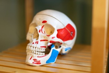 Ilmtaltherapie Stefan Scholze - Praxis Stadtilm Ilmtaltherapie Stefan Scholze - Praxis Stadtilm