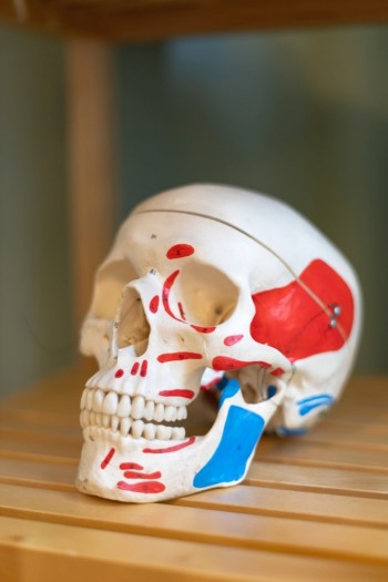 Ilmtaltherapie Stefan Scholze - Praxis Stadtilm Ilmtaltherapie Stefan Scholze - Praxis Stadtilm