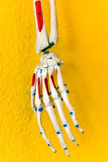 Ilmtaltherapie Stefan Scholze - Praxis Stadtilm Ilmtaltherapie Stefan Scholze - Praxis Stadtilm