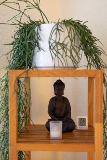 Physiotherapie Stefan Scholze - Praxis Arnstadt Physiotherapie Stefan Scholze - Praxis Arnstadt